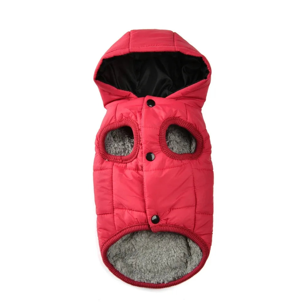 🐶 Le Petit Manteau Douillet